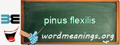 WordMeaning blackboard for pinus flexilis